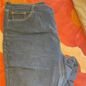 Evri brand skinny jean